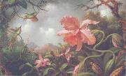 Martin Johnson Heade Hummingbirds and Two Varieties of Orchids USA oil painting artist